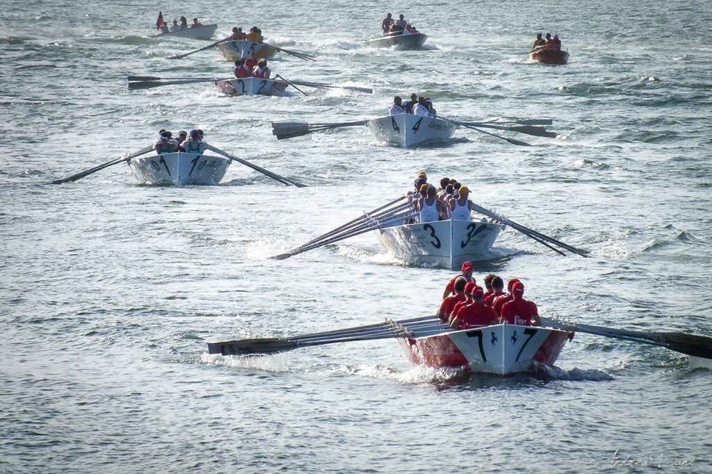 Anteprima della diretta